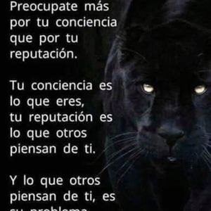 Meet your Posher, Mauricio